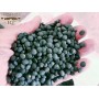 Organic Black Lentil of Monreale