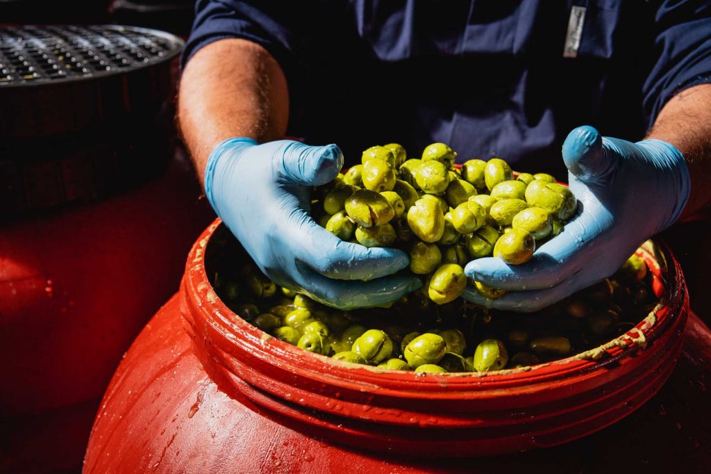 Lavorazione olive verdi