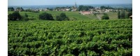Terramadre.it sélection de vins internationaux